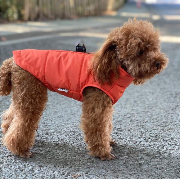 New Dog Winter Coat Windproof Zippered Jacket Breathable - Picture 3 of 6